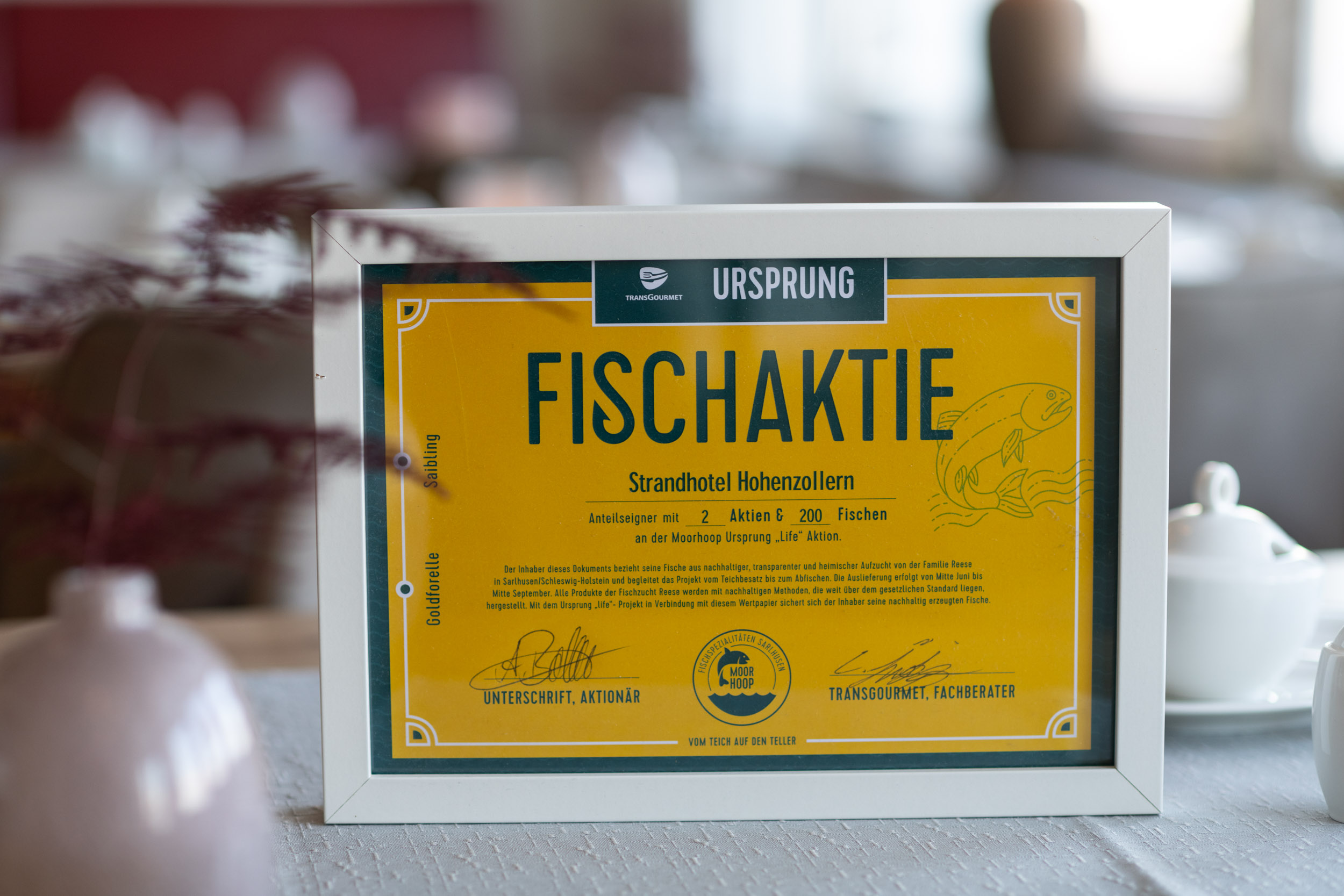 Fischaktie Restaurant PALÉE Borkum